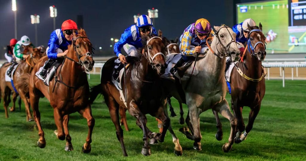 Dubai World Cup 2025 Event Dubai