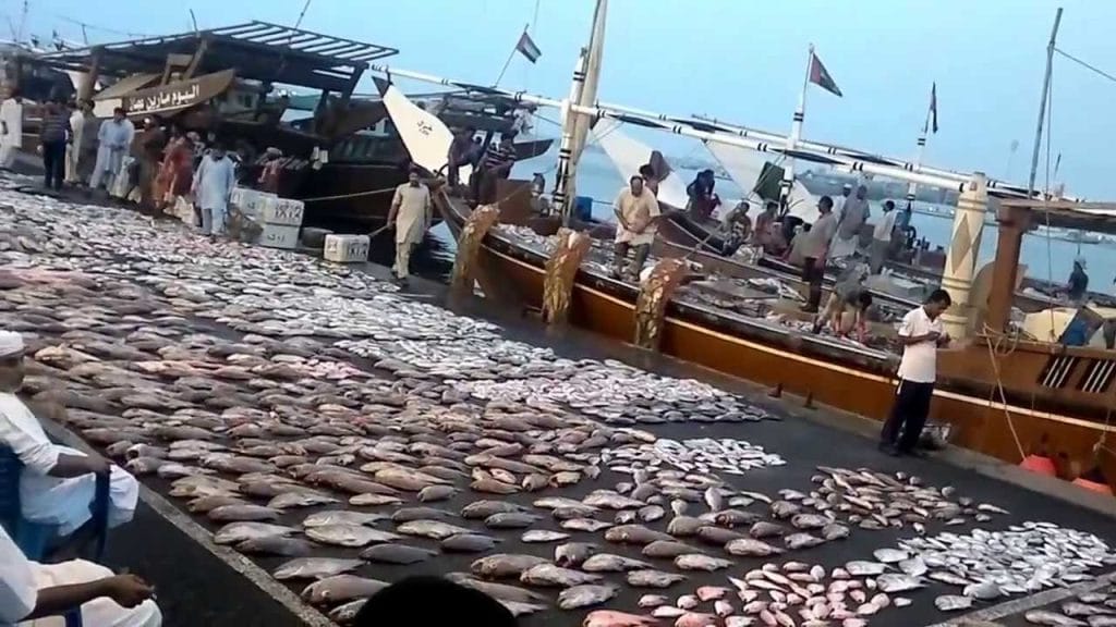 Ajman Fish Market