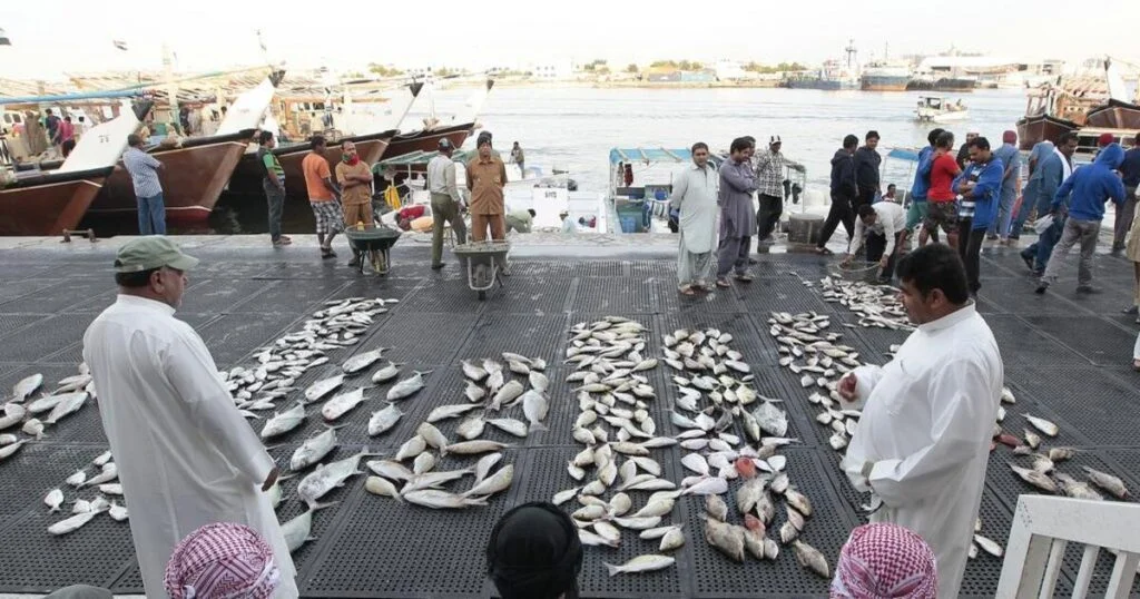 Ajman Fish Market Arab1