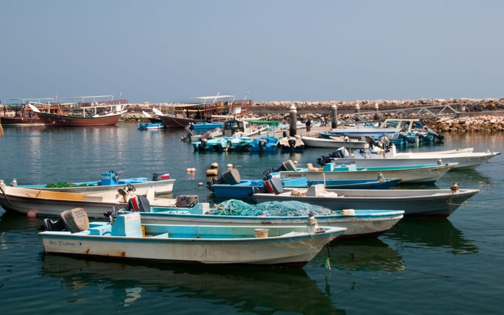 Ajman Fishing Harbour