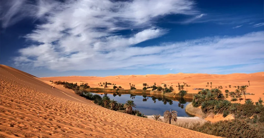 Al Ain Oasis (Day Trip) Arab1ae
