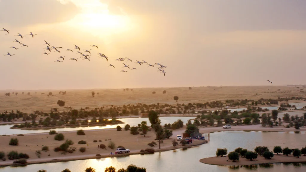 Al Qudra Lakes