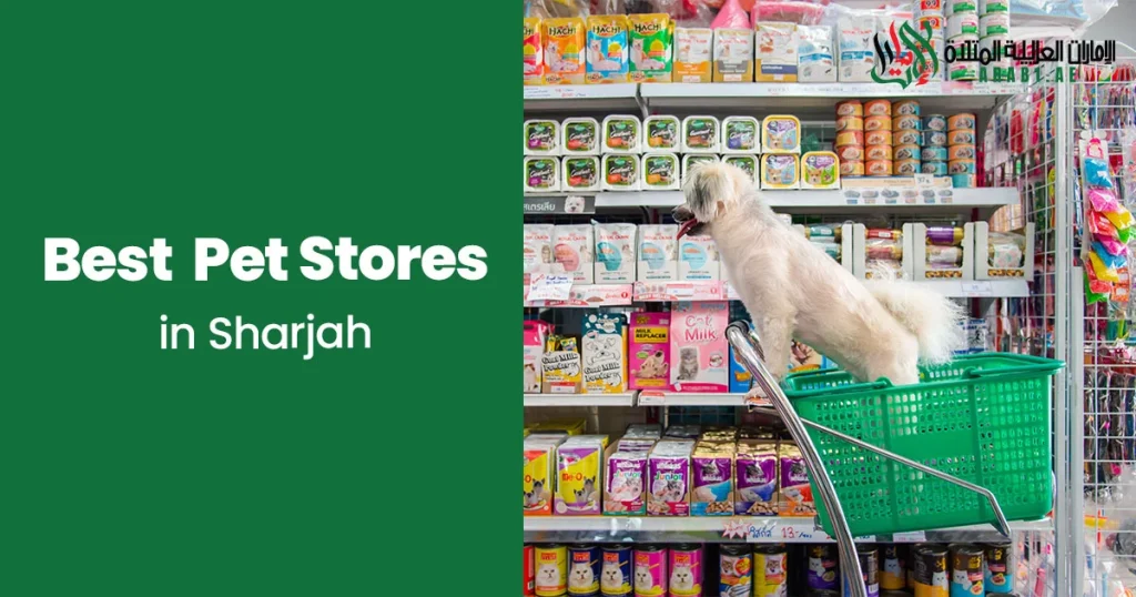Best Pet Stores in sharjah