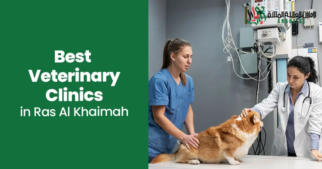 Best Veterinary Clinics in Ras Al Khaimah