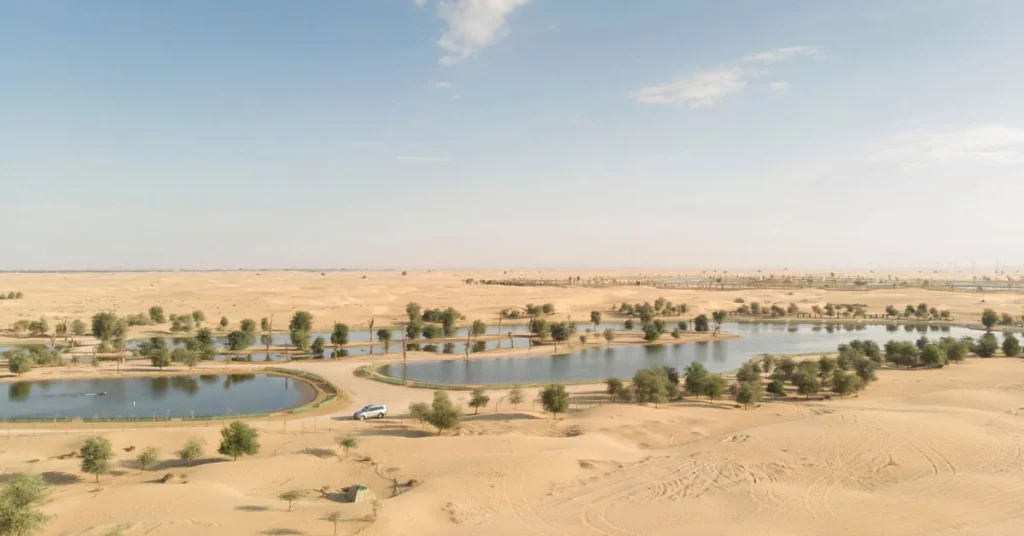 Exploring Al Qudra Lakes Arab1ae