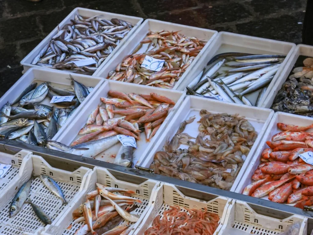 Fish market souq UAQ Arab1