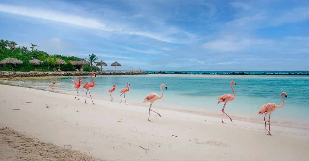 Flamingo Beach Umm Al Quwain