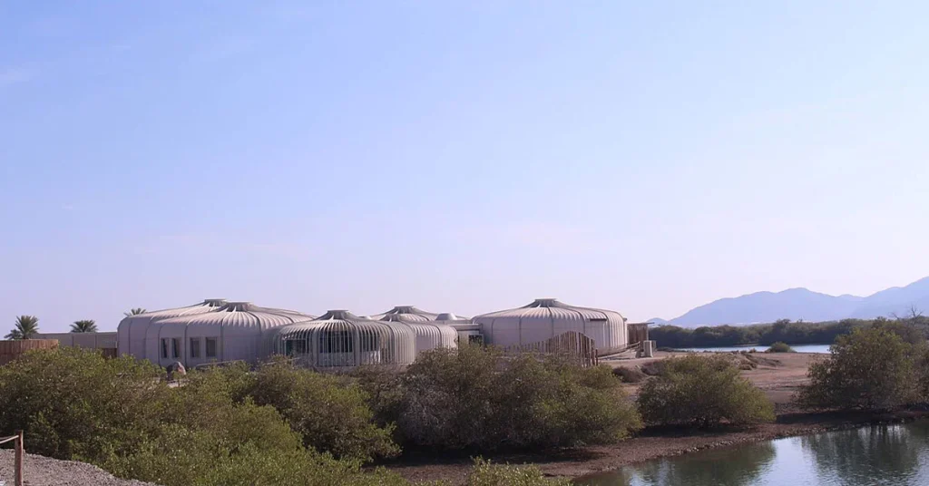 Kalba Mangrove Reserve