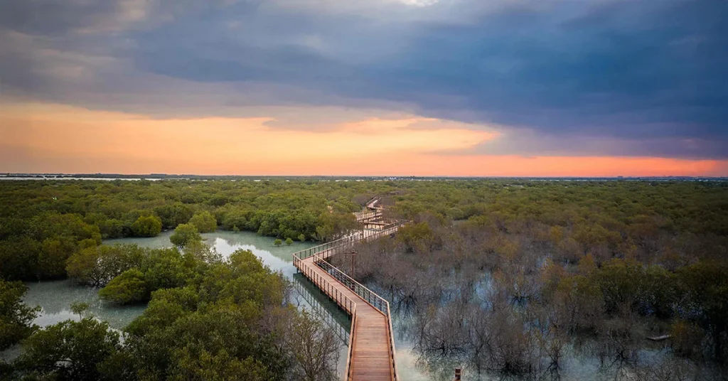 Mangrove National Park Arab1ae