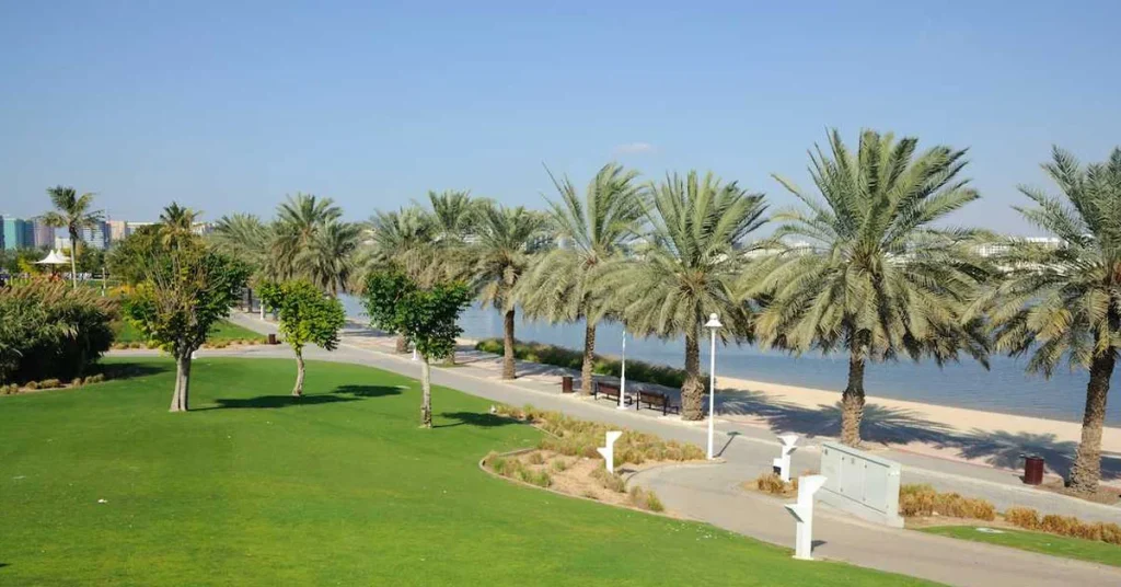 Picnicking & Walking at Al Safiya Park Arab1ae