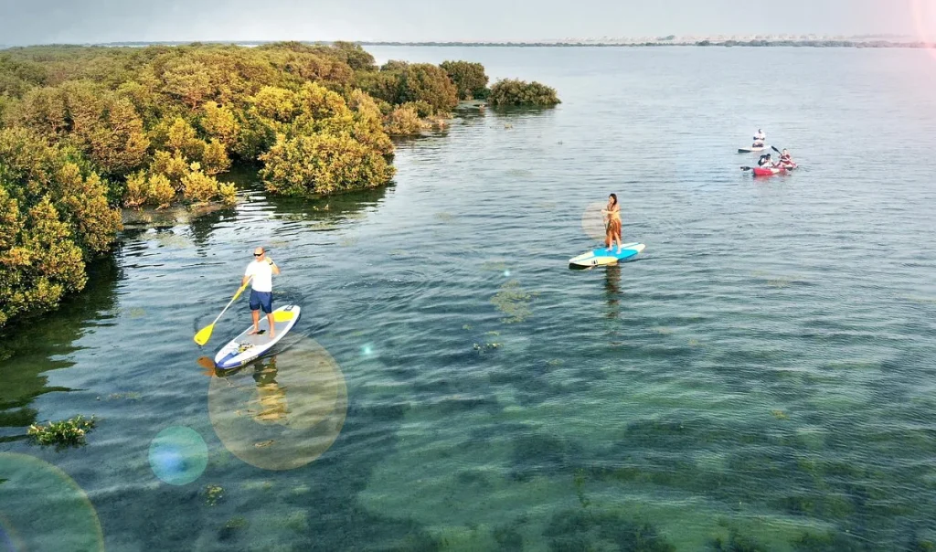 Traditional Fishing Along the Coast