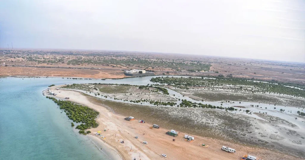 UAQ Mangroves