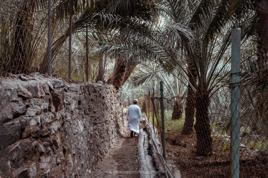 Wadi Shees