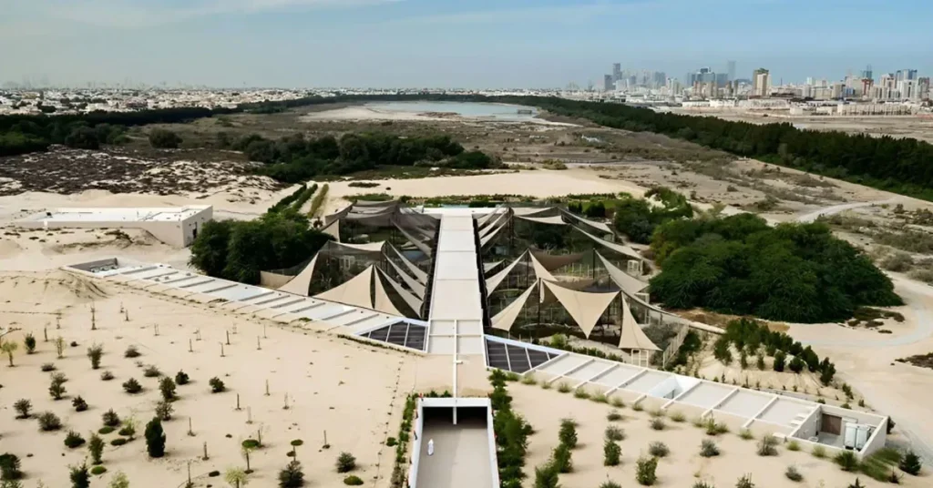 Wasit Wetland Reserve Sharjah Arab1ae