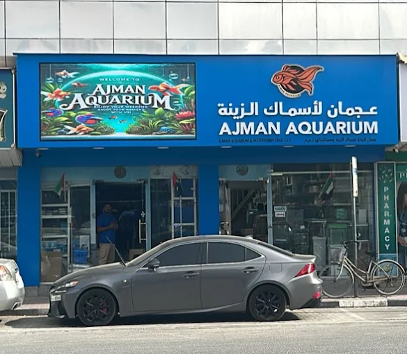 ajman aquarium arab1