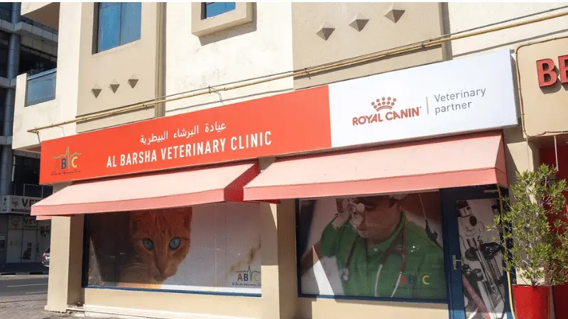al barsha veterinary hospital uaq arab1