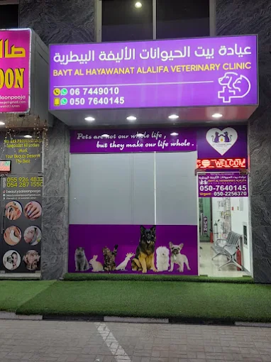 bayt veterinary hospital ajman arab1