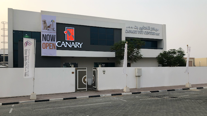 canary pet clinic ajman arab1