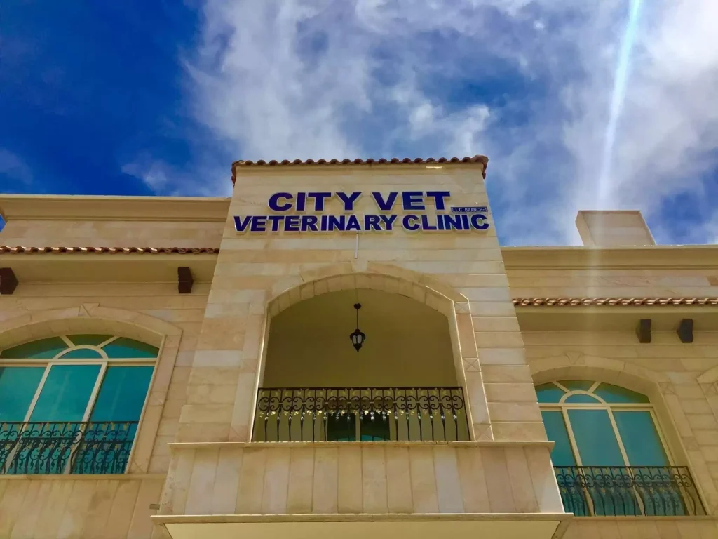 city vet veterinary hospital dubai arab1