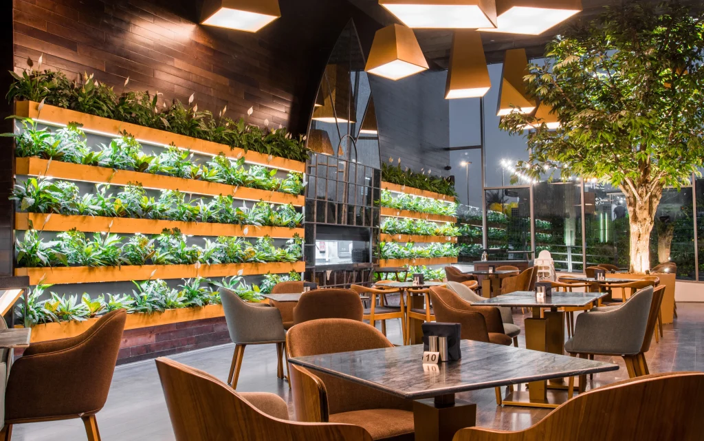 healthy juice bars ajman arab1