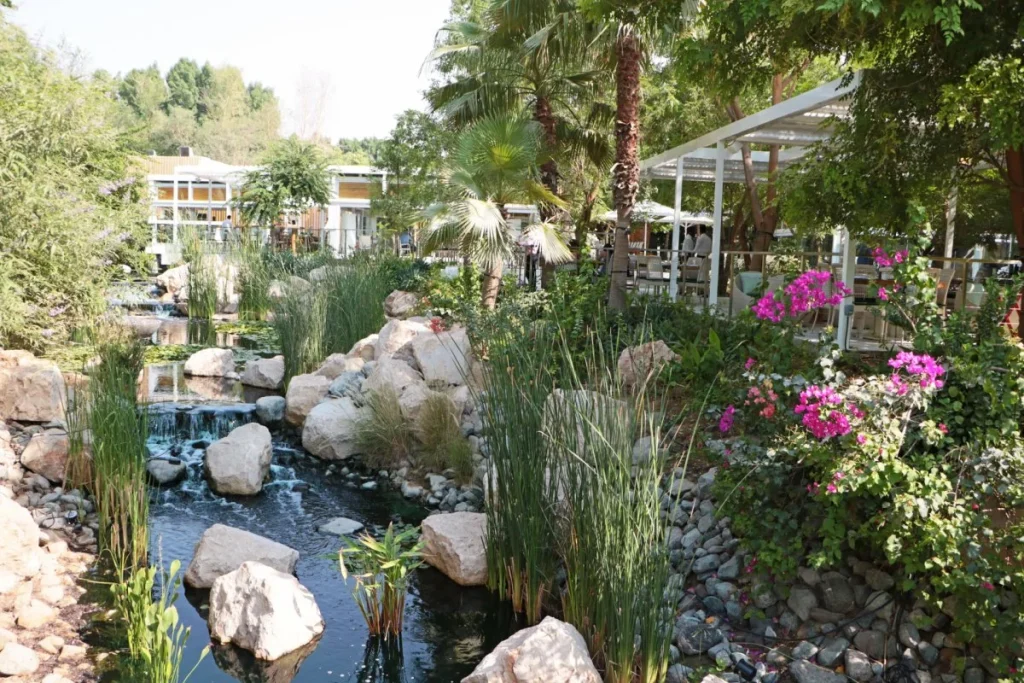 the farm cafe dubai arab1