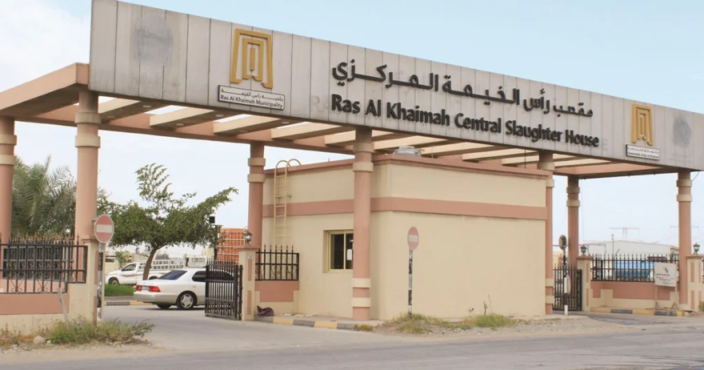 Animal House Ras Al Khaimah arab1 ae