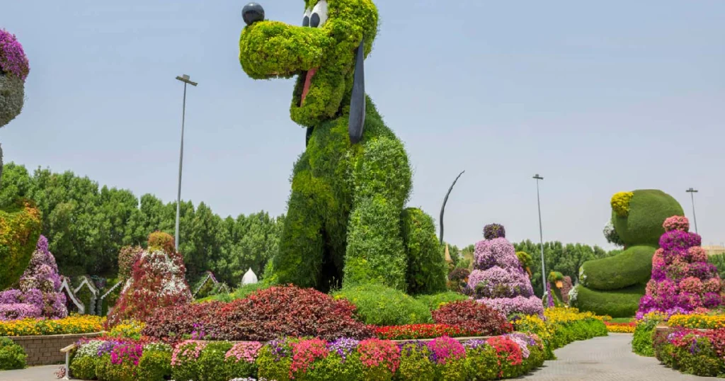 Pet Haus in Dubai arab1 ae